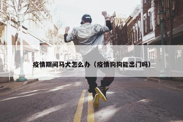 疫情期间马犬怎么办（疫情狗狗能出门吗）