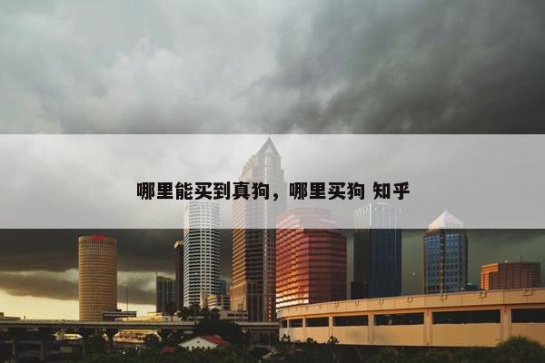 哪里能买到真狗，哪里买狗 知乎