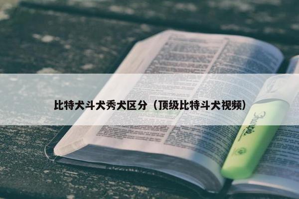 比特犬斗犬秀犬区分（顶级比特斗犬视频）