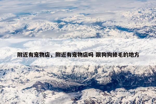 附近有宠物店，附近有宠物店吗 跟狗狗修毛的地方