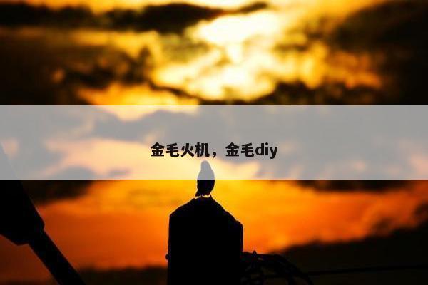 金毛火机，金毛diy