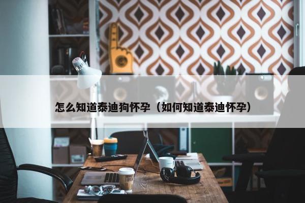 怎么知道泰迪狗怀孕（如何知道泰迪怀孕）