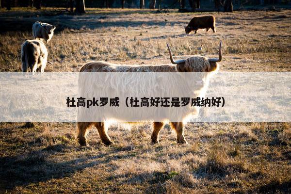 杜高pk罗威（杜高好还是罗威纳好）
