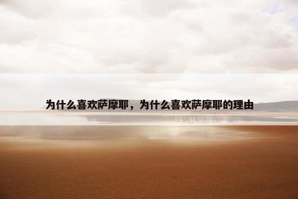 为什么喜欢萨摩耶，为什么喜欢萨摩耶的理由