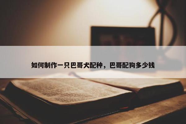如何制作一只巴哥犬配种，巴哥配狗多少钱