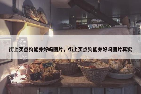 街上买点狗能养好吗图片，街上买点狗能养好吗图片真实