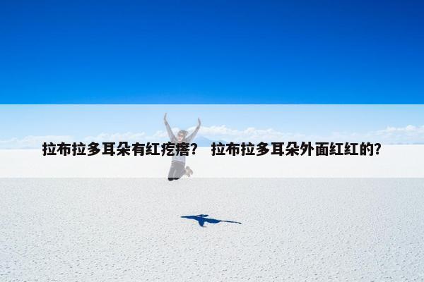 拉布拉多耳朵有红疙瘩？ 拉布拉多耳朵外面红红的？