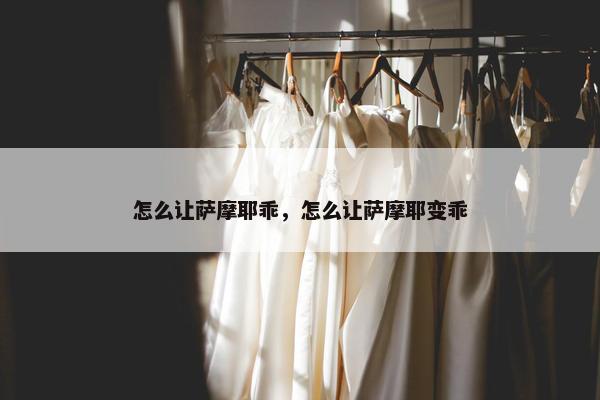 怎么让萨摩耶乖，怎么让萨摩耶变乖