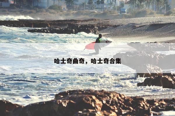 哈士奇曲奇，哈士奇合集