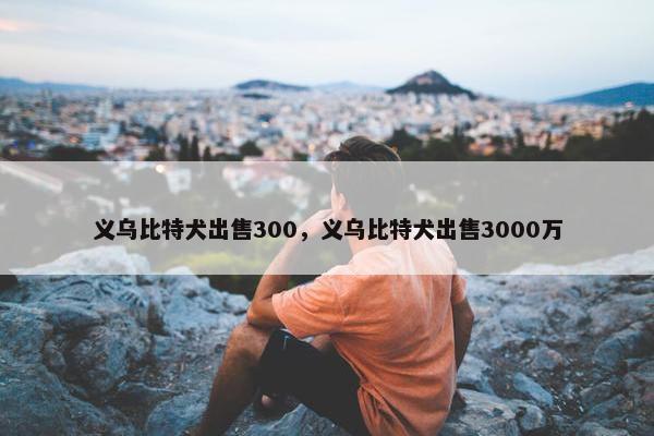义乌比特犬出售300，义乌比特犬出售3000万