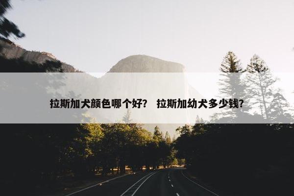 拉斯加犬颜色哪个好？ 拉斯加幼犬多少钱？