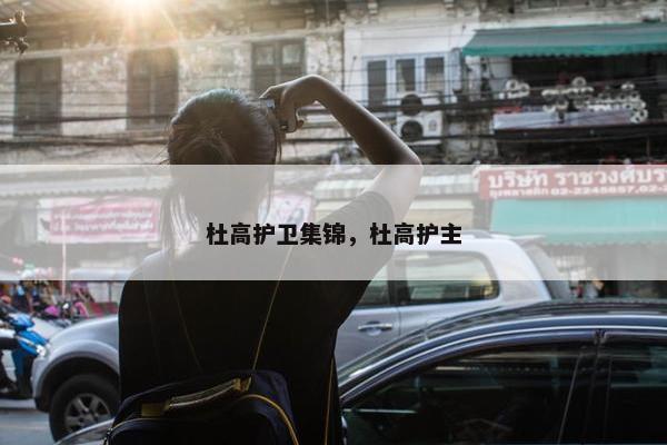 杜高护卫集锦，杜高护主
