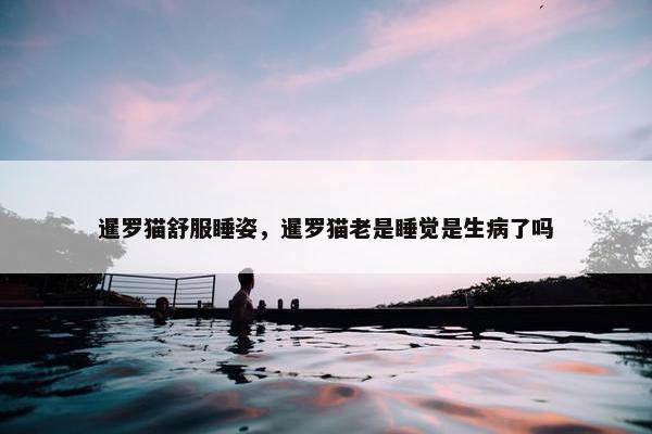 暹罗猫舒服睡姿，暹罗猫老是睡觉是生病了吗