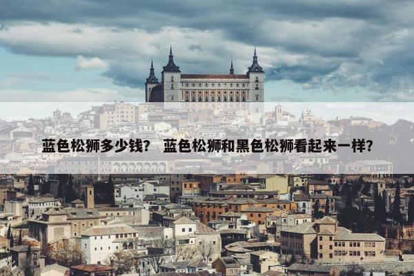 蓝色松狮多少钱？ 蓝色松狮和黑色松狮看起来一样？