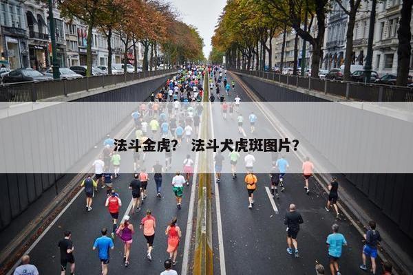 法斗金虎？ 法斗犬虎斑图片？