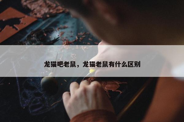 龙猫吧老鼠，龙猫老鼠有什么区别