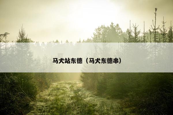 马犬站东德（马犬东德串）