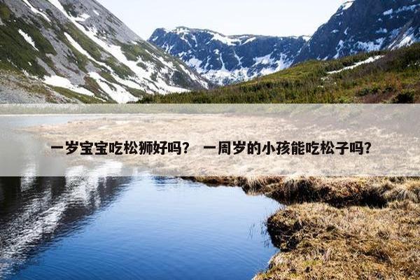 一岁宝宝吃松狮好吗？ 一周岁的小孩能吃松子吗？