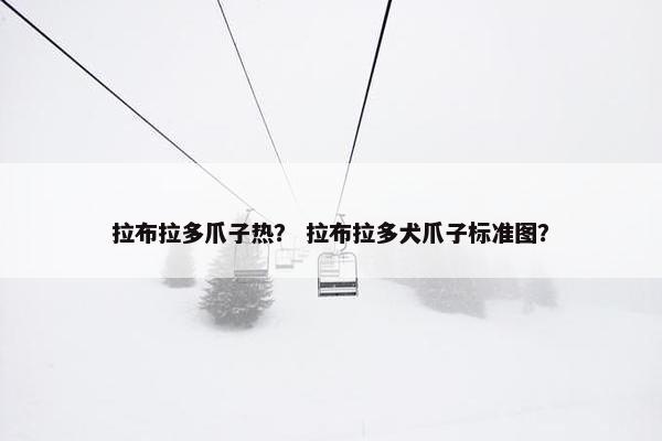 拉布拉多爪子热？ 拉布拉多犬爪子标准图？