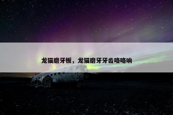 龙猫磨牙板，龙猫磨牙牙齿咯咯响