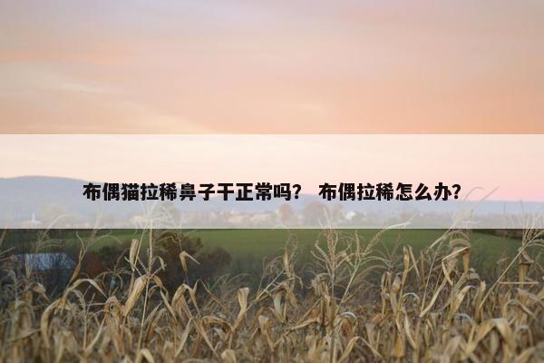 布偶猫拉稀鼻子干正常吗？ 布偶拉稀怎么办？