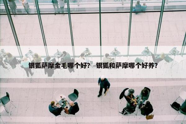 银狐萨摩金毛哪个好？ 银狐和萨摩哪个好养？