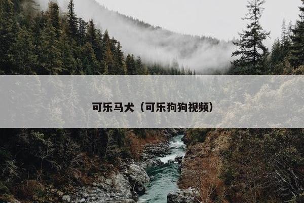 可乐马犬（可乐狗狗视频）