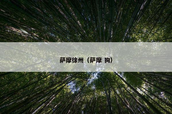 萨摩徐州（萨摩 狗）