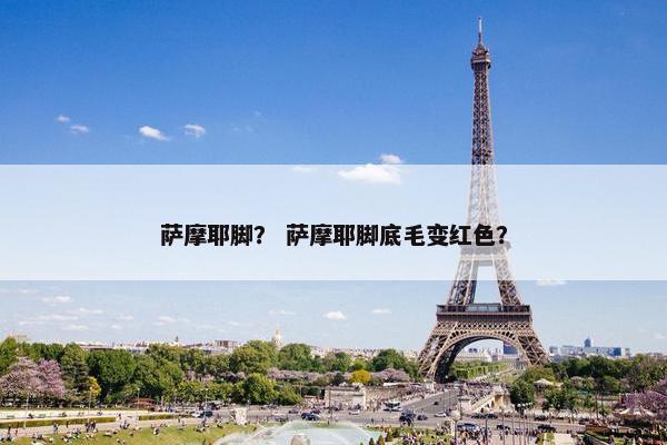 萨摩耶脚？ 萨摩耶脚底毛变红色？