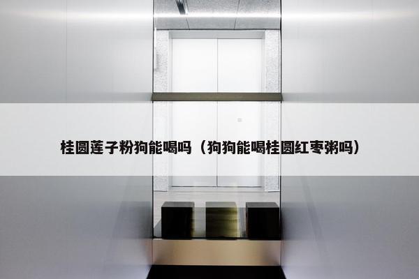 桂圆莲子粉狗能喝吗（狗狗能喝桂圆红枣粥吗）