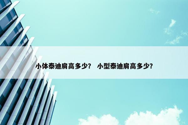 小体泰迪肩高多少？ 小型泰迪肩高多少？
