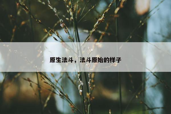 原生法斗，法斗原始的样子