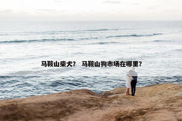 马鞍山柴犬？ 马鞍山狗市场在哪里？