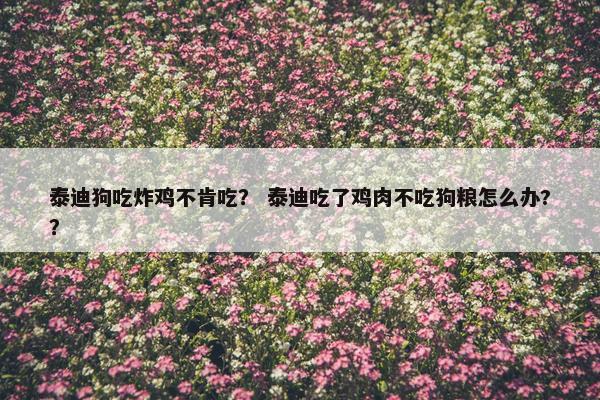泰迪狗吃炸鸡不肯吃？ 泰迪吃了鸡肉不吃狗粮怎么办?？