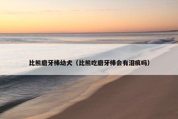 比熊磨牙棒幼犬（比熊吃磨牙棒会有泪痕吗）