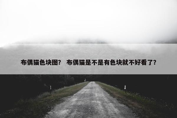 布偶猫色块图？ 布偶猫是不是有色块就不好看了？