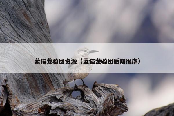 蓝猫龙骑团资源（蓝猫龙骑团后期很虐）