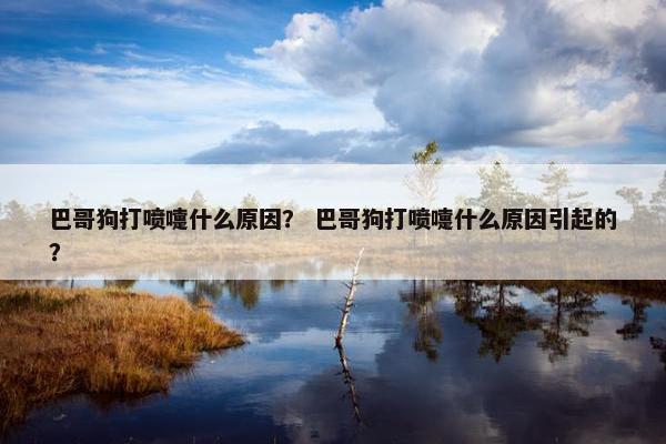 巴哥狗打喷嚏什么原因？ 巴哥狗打喷嚏什么原因引起的？