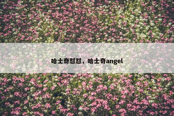 哈士奇怼怼，哈士奇angel