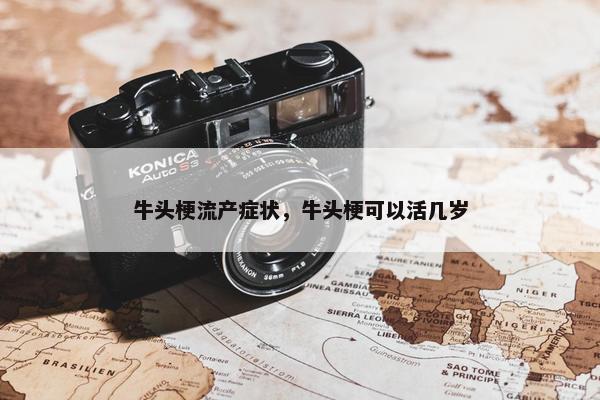牛头梗流产症状，牛头梗可以活几岁