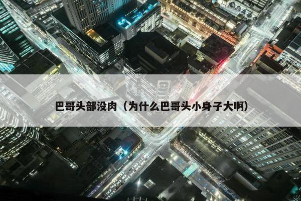 巴哥头部没肉（为什么巴哥头小身子大啊）