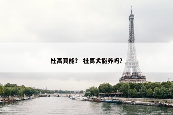 杜高真能？ 杜高犬能养吗？