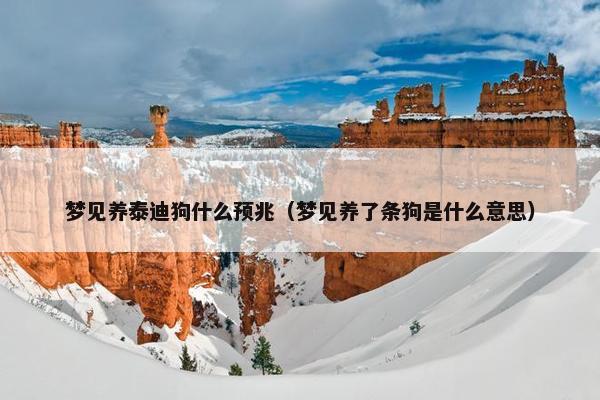 梦见养泰迪狗什么预兆（梦见养了条狗是什么意思）