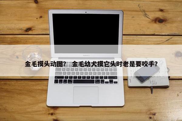 金毛摸头动图？ 金毛幼犬摸它头时老是要咬手？