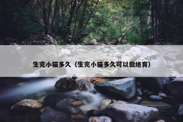 生完小猫多久（生完小猫多久可以做绝育）