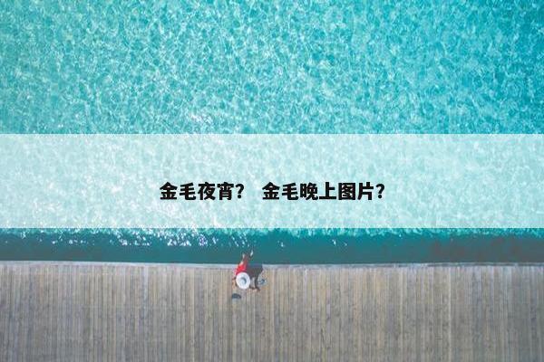 金毛夜宵？ 金毛晚上图片？