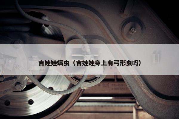 吉娃娃螨虫（吉娃娃身上有弓形虫吗）