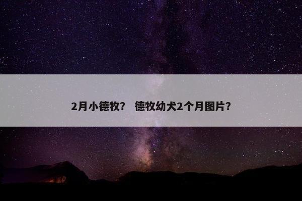 2月小德牧？ 德牧幼犬2个月图片？