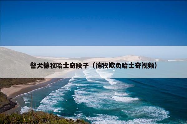 警犬德牧哈士奇段子（德牧欺负哈士奇视频）