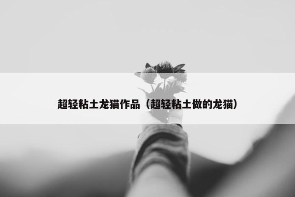 超轻粘土龙猫作品（超轻粘土做的龙猫）